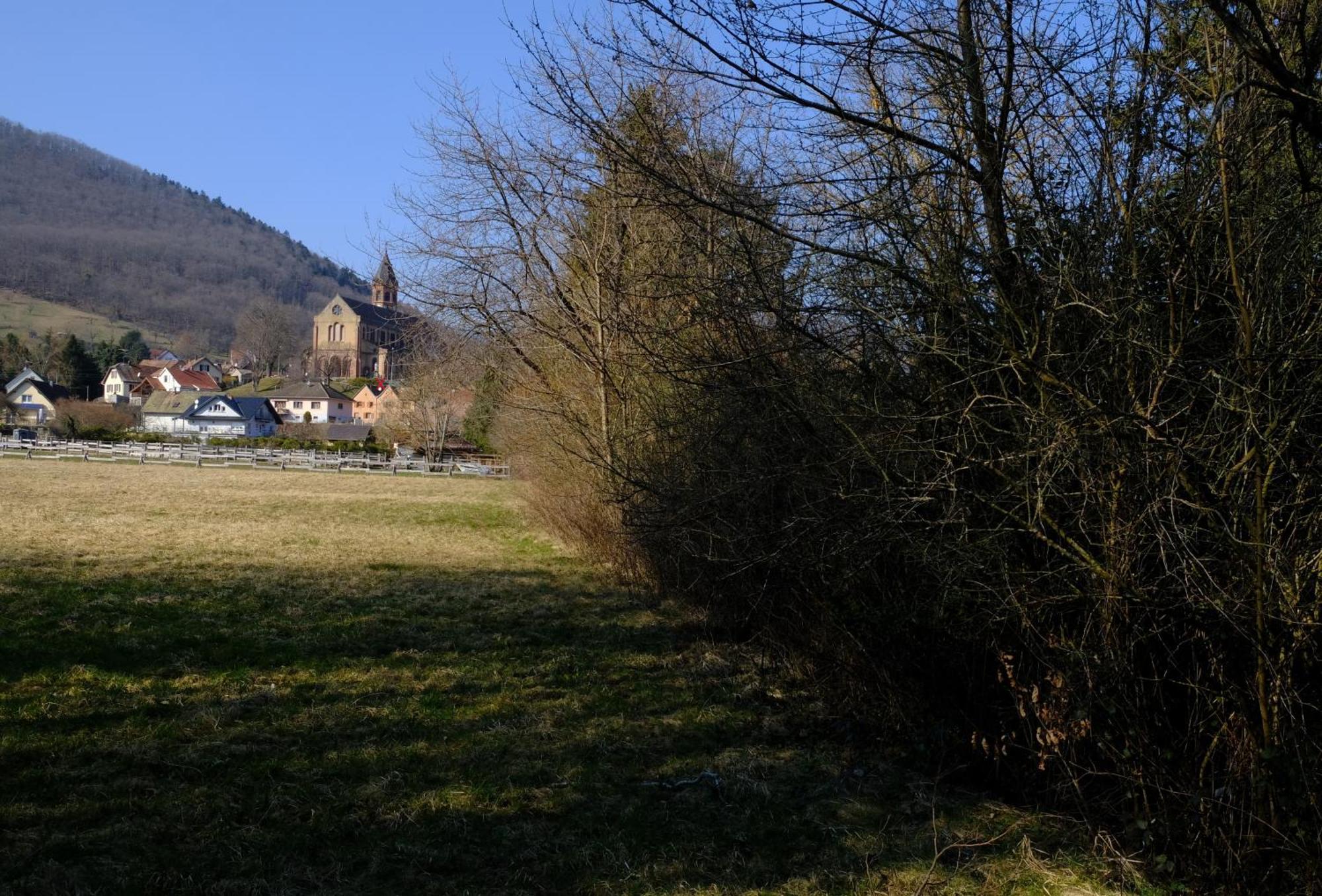 Apartmán Aux Jardins D'Argiles Buhl Exteriér fotografie